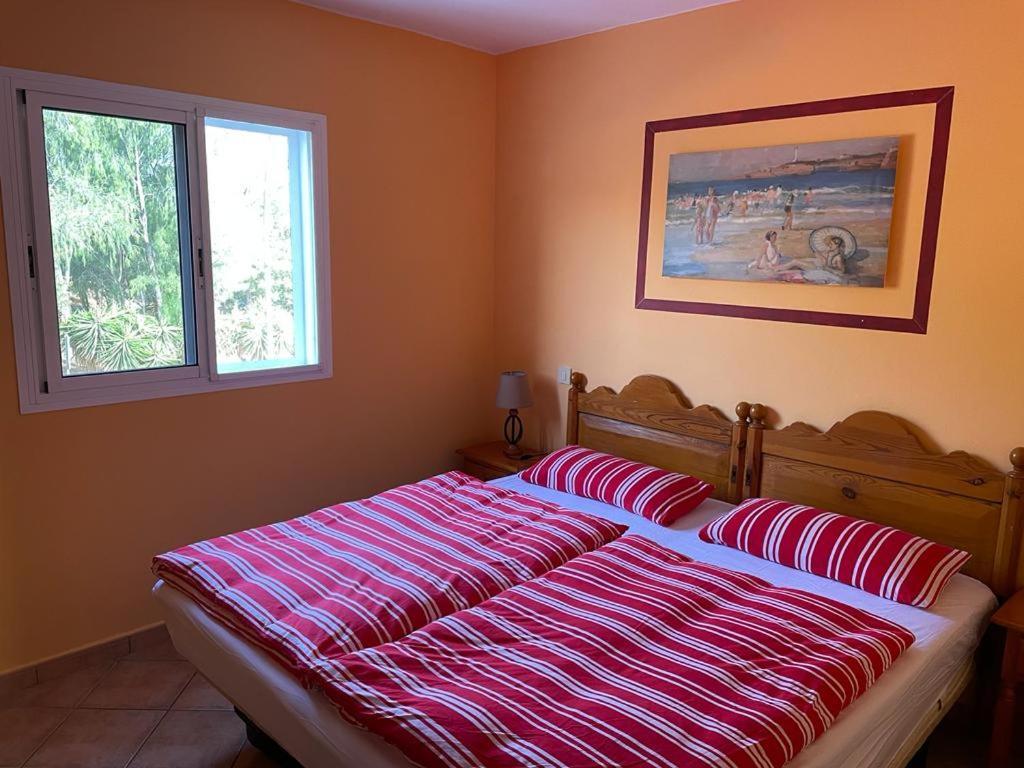 Appartamento Aliciamin Costa Calma Zewnętrze zdjęcie